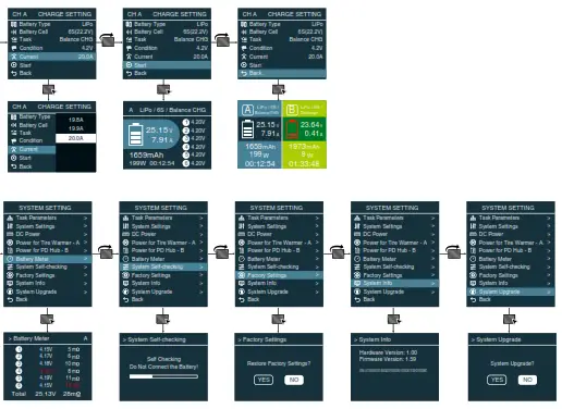 SKYRC SK-100196 D200 neo AC DC Multi Function Smart Charger - Program Flow Chart1