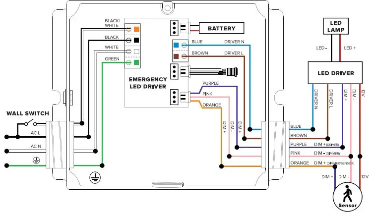 ESL-VISION-Emergency-Driver-EMG-Box-FIG 4
