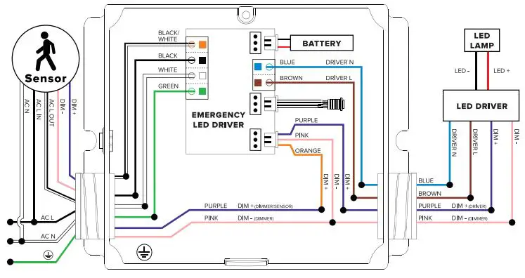 ESL-VISION-Emergency-Driver-EMG-Box-FIG 5