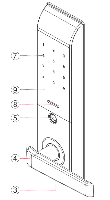 Product Structure and Name