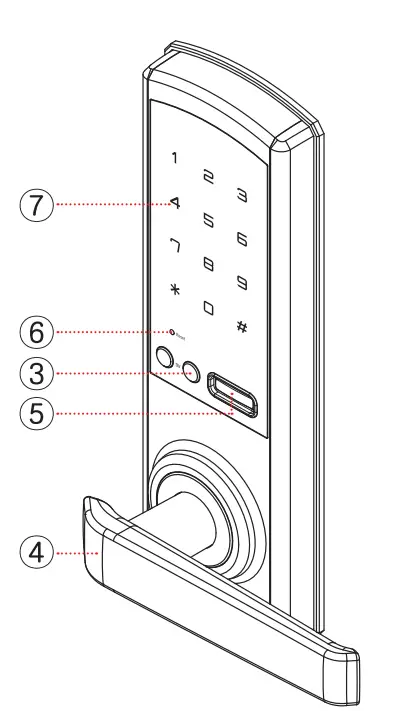 Product Structure and Name