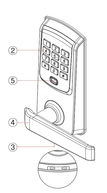 Product Structure and Name