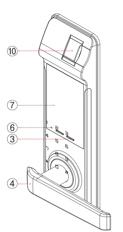 Product Structure and Name