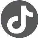 TikTok Icon