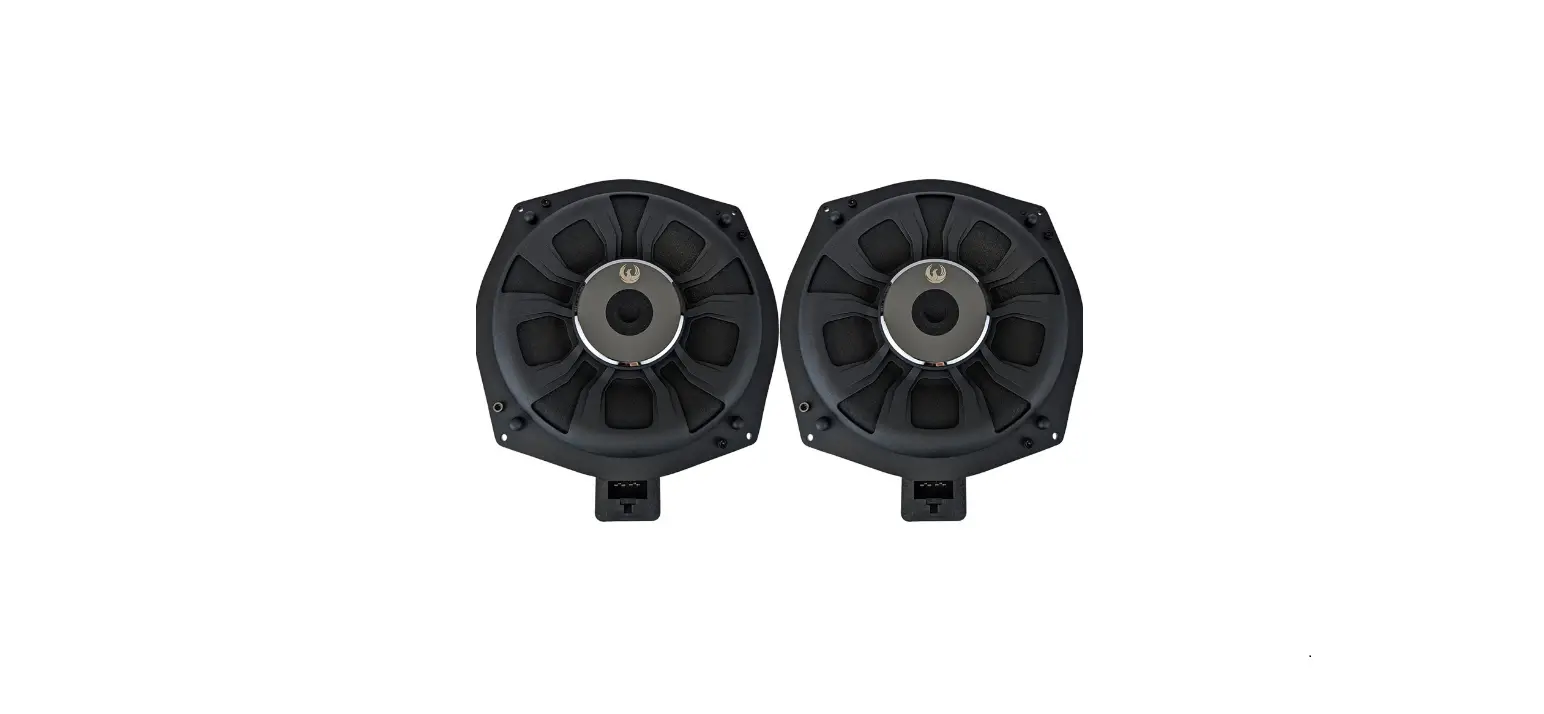 Phoenix Gold Zdsb200s 8 Inch 150w Subwoofer Kit For Bmw User Manual