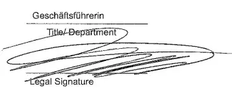 LevelOne FCS-5212 Zoom IP Camera - icon