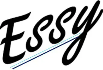 Essy-logo