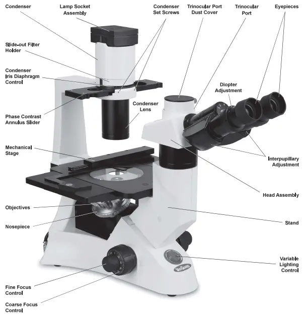 Parts And Accessories