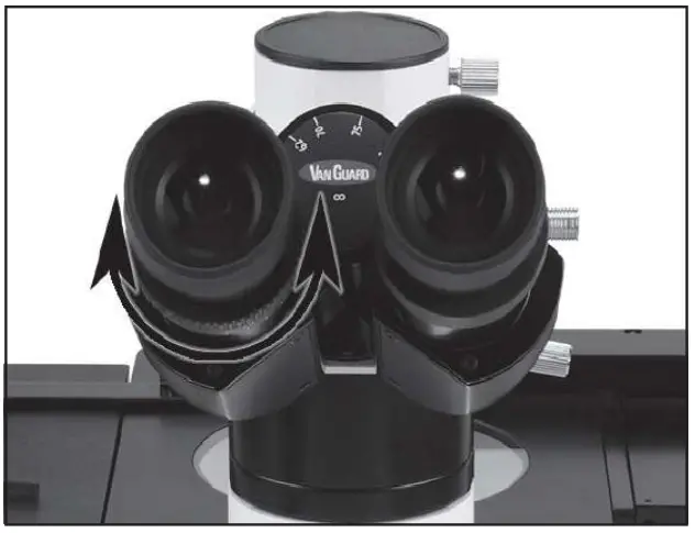Interpupillary Adjustment