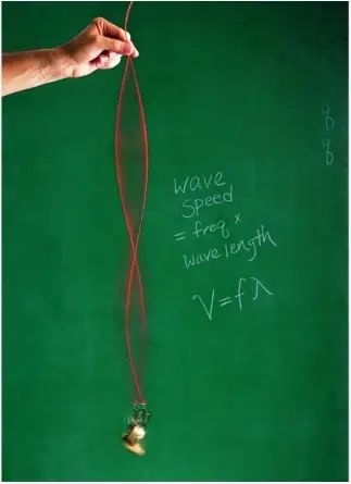 Arbor Scientific P6-7700 Standing Wave Kit 2