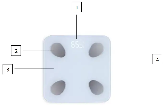 Livoo DOM428 Bathroom Scale - DESCRIPTION