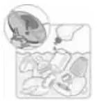 NUK BP7 First Choice Plus Electric Breast Pump - icon 26