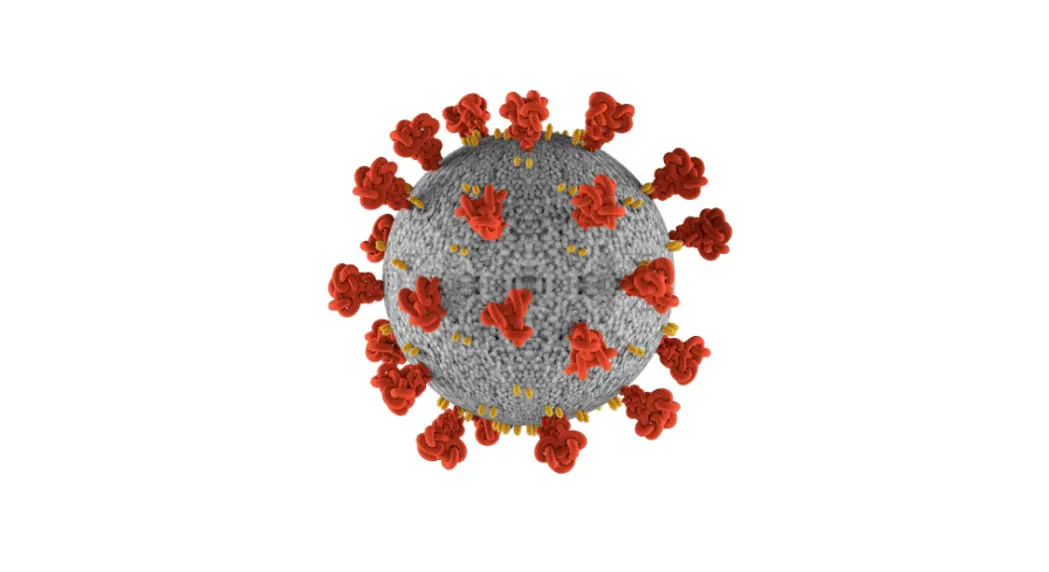 Cartus Covid-19 Mobility Supply Chain User Guide