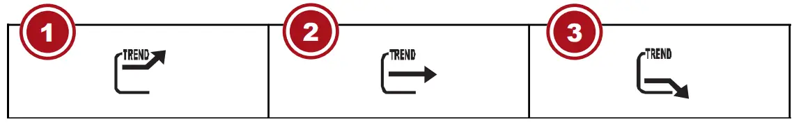 BRESSER MeteoTemp W DCF RC Weather Station - indicators