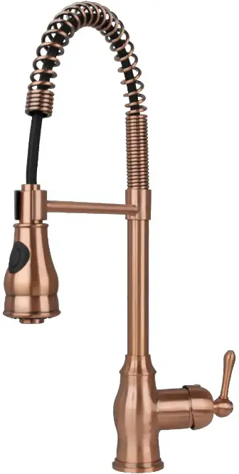 AKICON 96918P1 Kitchen Faucet with Spray