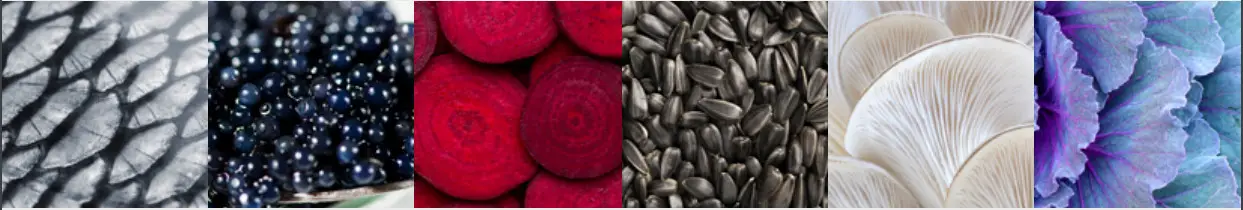 Steel AQ12SF 6M BR C Ascot 120cm Bordeaux with Chrome Trim Dual Fuel Freestanding Cooker - fig