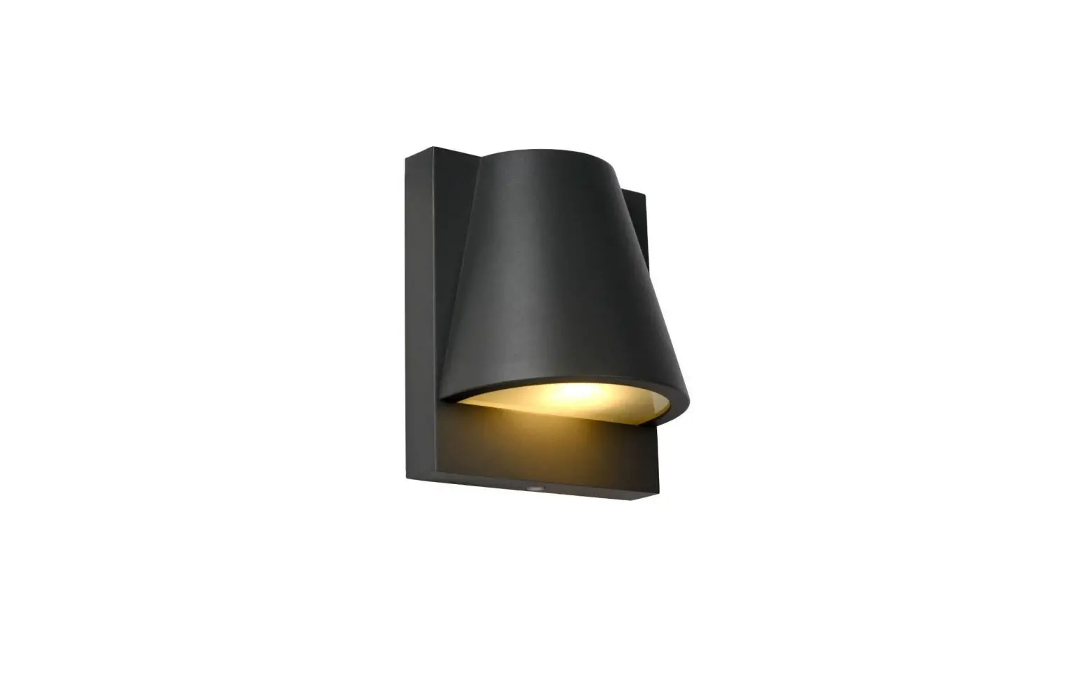 Lucide 29898/01/29 Liam Outdoor Wall Light Instruction Manual
