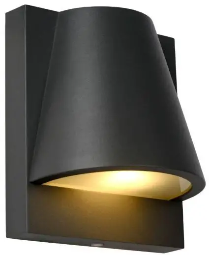 LUCiDE-29898-01-29-LIAM-Outdoor-Wall-Light-PRODUCT