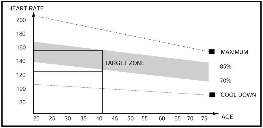 MARCY RM413 Motion Rower - Exercise Phase