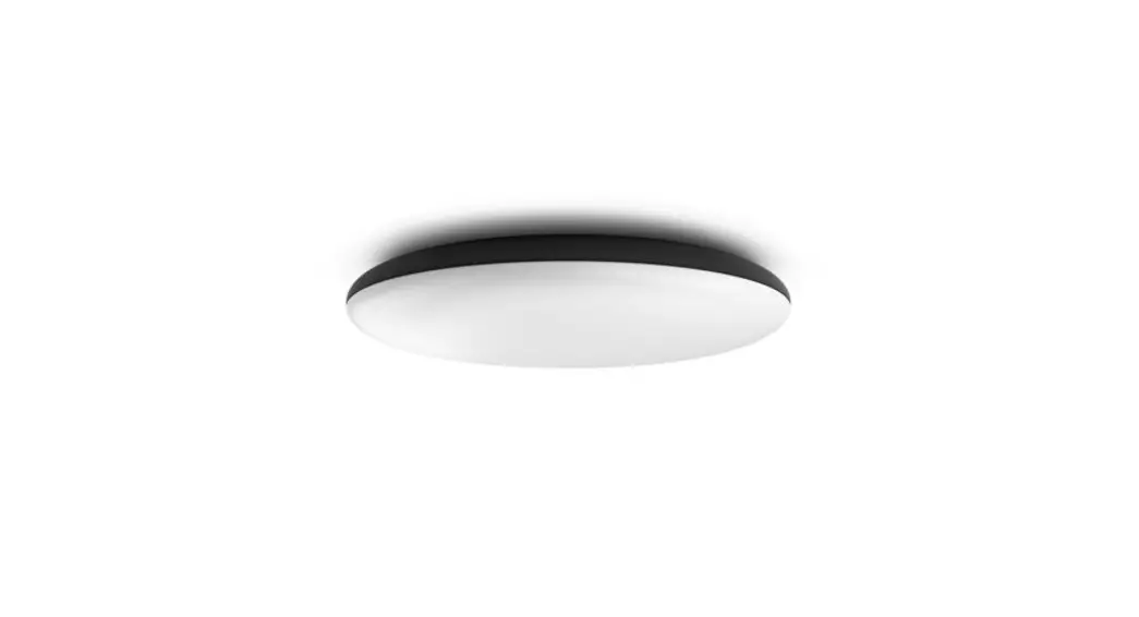 Philips 929003055601 Hue Cher Ceiling Light Instructions