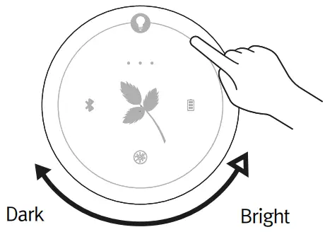 Brgiht Adjustment Scroll