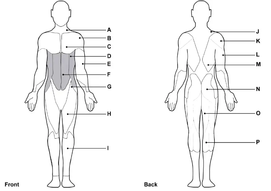 MUSCLESQUAD-Phase-2-Freestanding-Rack-FIG-11
