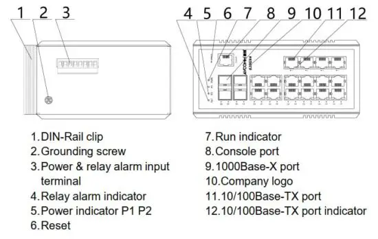 FIG 3 Appearance.JPG