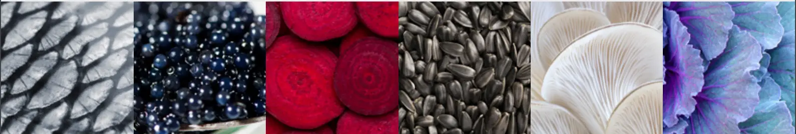 Steel AQ9S-5FI-AN-C Ascot 90cm Anthracite with Chrome Trim Induction Freestanding Cooker - Fig 1