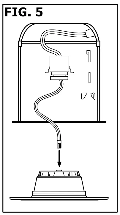 Assembly And Installation