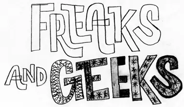 FREAKS AND GEEKS Logo