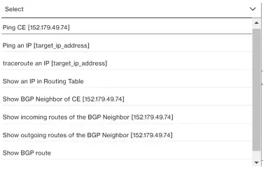 Verizon-Internet-Dedicated-Dynamic -Network-Manager-FIG-21