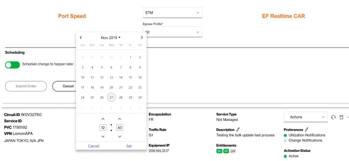 Verizon-Internet-Dedicated-Dynamic -Network-Manager-FIG-31