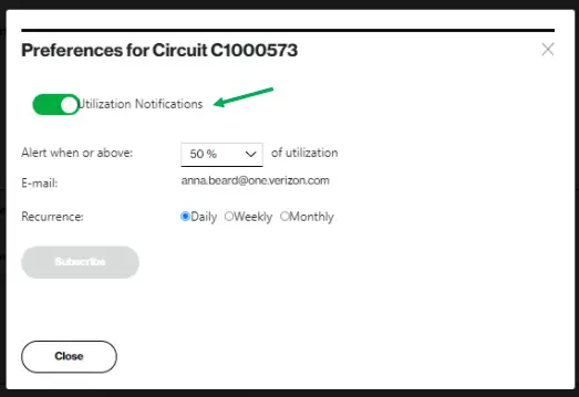 Verizon-Internet-Dedicated-Dynamic -Network-Manager-FIG-39