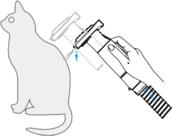 How to Use Accessories