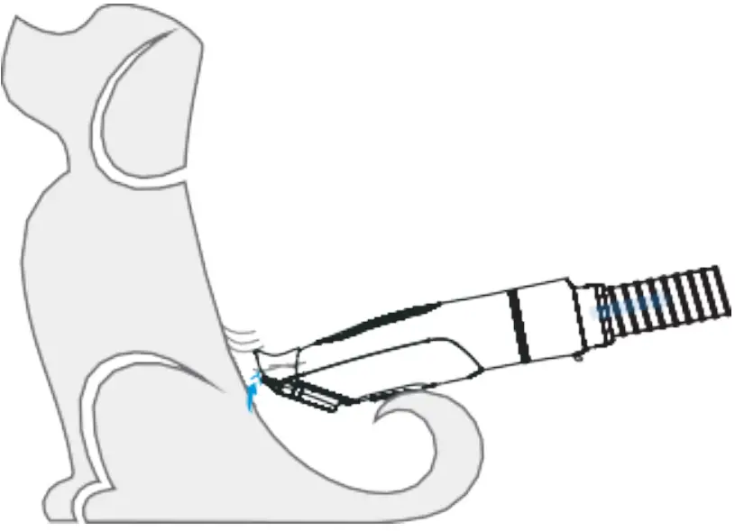 How to Use Accessories