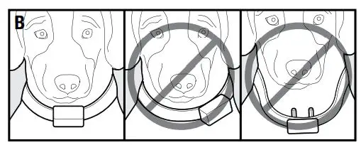 PetSafe-PBC-102-Basic-Bark-Control-Collar-Fig-4