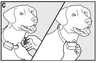 PetSafe-PBC-102-Basic-Bark-Control-Collar-Fig-5