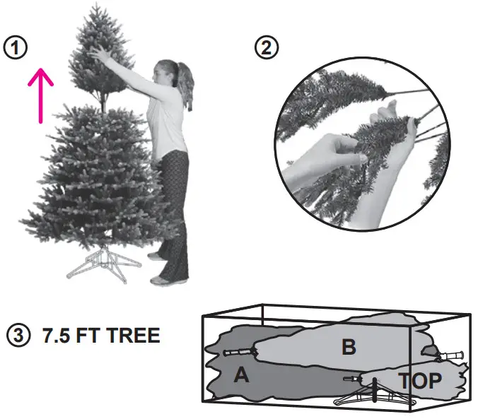 GE 22036 Just Cut Cedar Rock Fir - fig 10