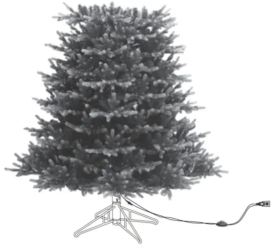 GE 22036 Just Cut Cedar Rock Fir - fig 7