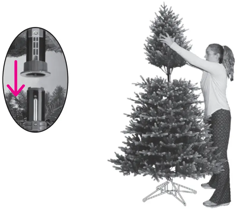 GE 22036 Just Cut Cedar Rock Fir - fig 8