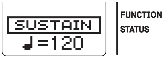 CASIO SA 80 Mini Portable Keyboard - Function