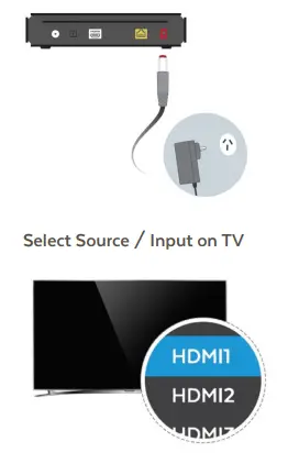 fetch TV Mini and Mighty fig-6