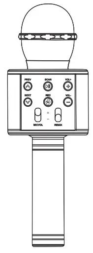 EZEEY WS858 5W Handheld Wireless Microphone