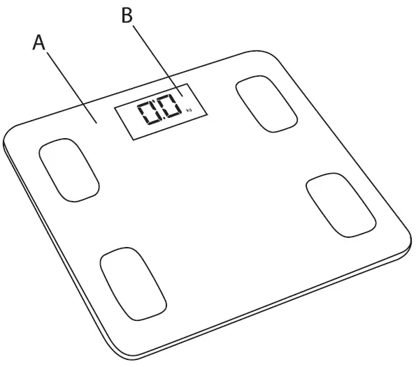 ATLANTA-ATH-6163-Personal-Electronic-Scales-fig-1