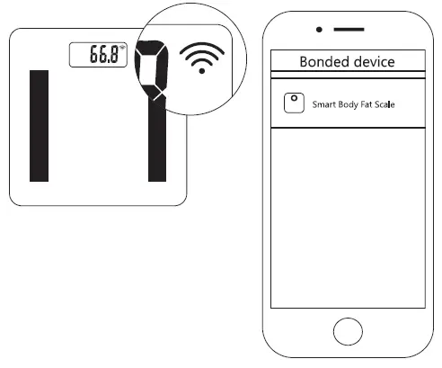 ATLANTA-ATH-6163-Personal-Electronic-Scales-fig-5