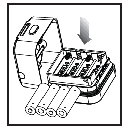 Insert the batteries