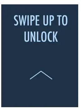 Ss Brewtech FTSs Pro Touch - LOCK SCREEN