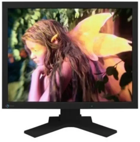 EIZO-L997-FlexScan-21.3-inch-LCD-Monitor-Product