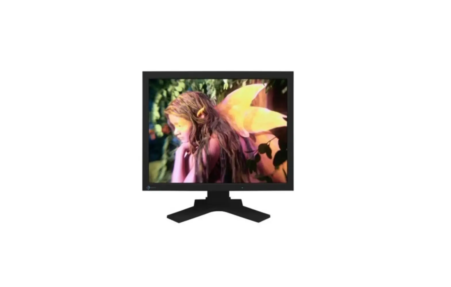 Eizo L997 Flexscan 21.3 Inch Lcd Monitor User Manual