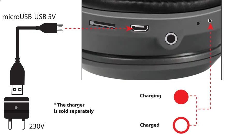 Charging Instruction